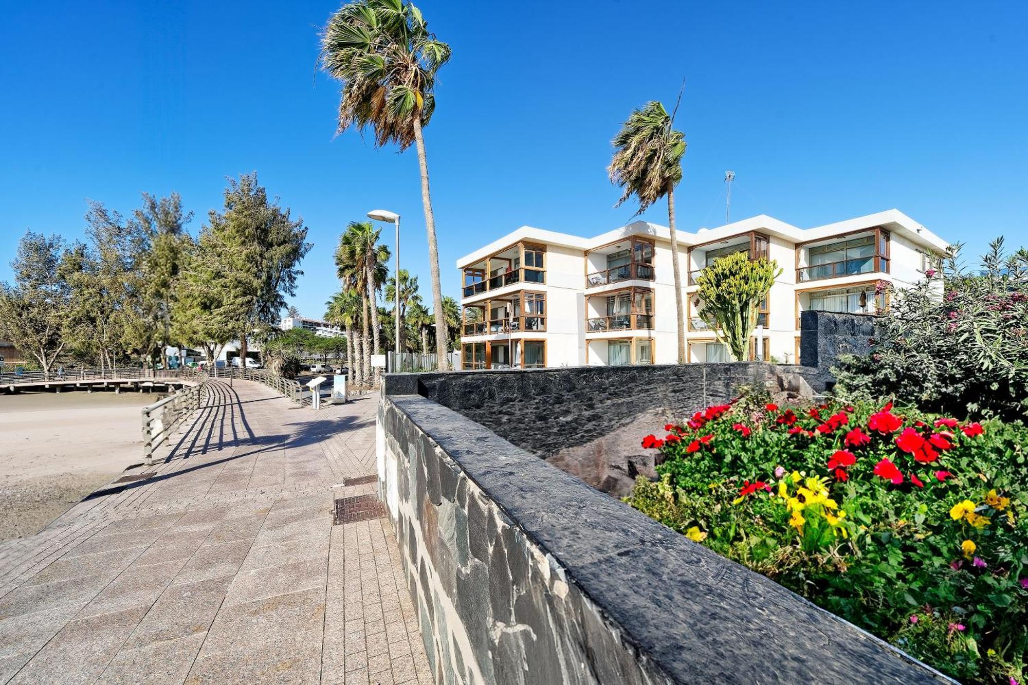 Apartamentos Los Papagayos San Agustín エクステリア 写真